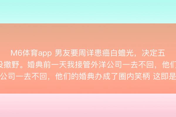 M6体育app 男友要周详患癌白蟾光，决定五天后办个微型婚典，我没撒野。婚典前一天我接管外洋公司一去不回，他们的婚典办成了圈内笑柄 这即是报应