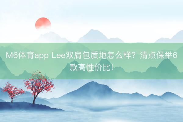 M6体育app Lee双肩包质地怎么样？清点保举6款高性价比！